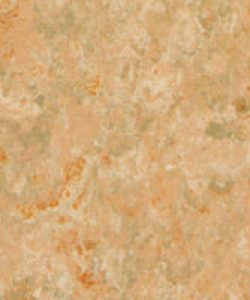 23-linoleum-631-200x200